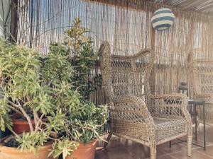 Panoramic Rooftop Duplex Retreat Heart of Málaga