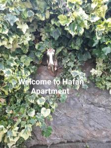 Hafan Apartment