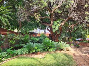 Tree Aloe Guest House