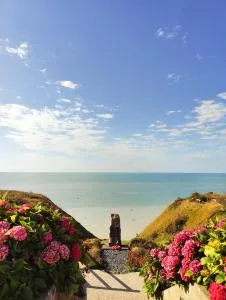 biville - Tocqueville-sur-Eu