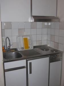 Appartements Studio au pied de la montagne : photos des chambres