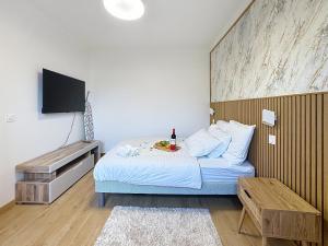 Appartements Sky Apartment- Paris - Blanc Mesnil : photos des chambres
