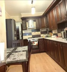 Сучасна квартира в районі Центрального парку - Kapitanovka