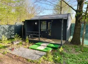 Scandinavia Camping - Voloshki