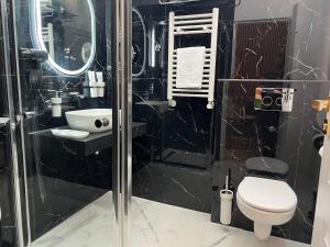 Apartment Deluxe Bucharest Downtown