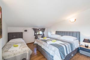 Villa Dino i Karla, a spacious and beautiful Villa in a calm village