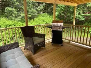 Private 3 Bedroom Cottage 5 minutes to Belleayre - West Kill