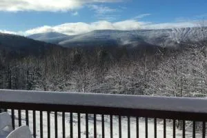 Beautiful Log Ski Cabin Belleayre Mtn Views - West Kill