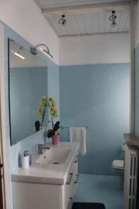 Il cortile dei cipressi - large apartment
