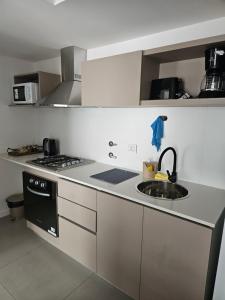 Departamento Charlone temporal