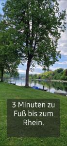 Ferienwohnungen in Top Lage in der Nähe eines Rhein-Strandbads
