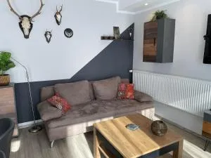 Apartment Nikki - Medebach