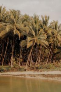 Award Winning Luxury Cabin in the Jungle 2BR