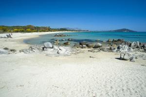 Il Gatto di Monte Attu img1