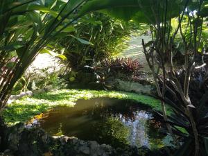 Private Hilltop - Garden Apartment - Orange Bay