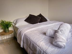 Monarcas Rural Container Studio