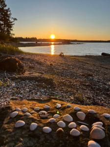 Old Forest Resort Suite Heated Pool Hot Tub Sauna Beach Vancouver Island