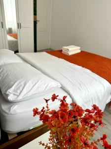 LimeNest central, family&kids, free parking