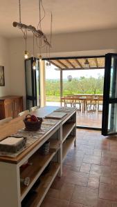 Maremma Design