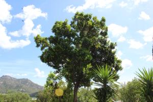 casetta Ludo&Fili img6