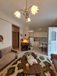 Ellie's house - Aiani