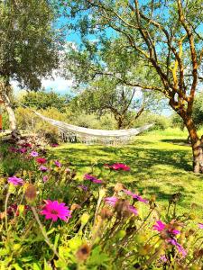 Green Hotel "I Mandorli di Dommos"