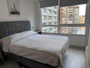Apartamento cómodo y acogedor, Santiago centro,