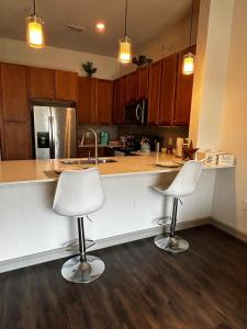 Distinct Houston Luxury Downtown