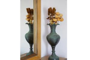 Casa Playa la Pelada