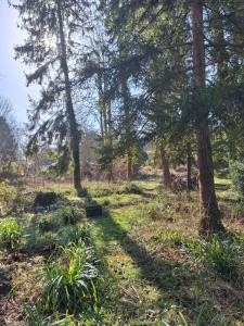 B&B / Chambres d'hotes Le Refuge des Libellules : photos des chambres
