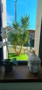 La luz de Llanes - Allende