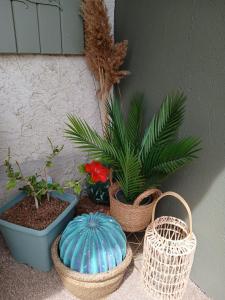 Maisons de vacances Gite vue Ventoux et vignes! Provence : photos des chambres