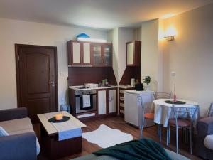 Sunny studio in Pamporovo