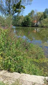 Appartements Bienvenue en bord de meuse : photos des chambres
