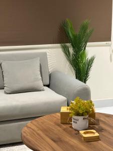 رؤى سويتس Roua Suits