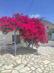 Athanasia's Home - Stení