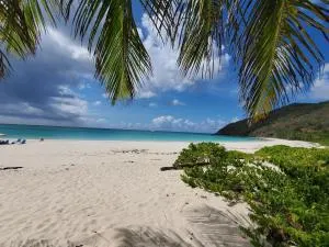 Secret Garden Culebra - Culebra