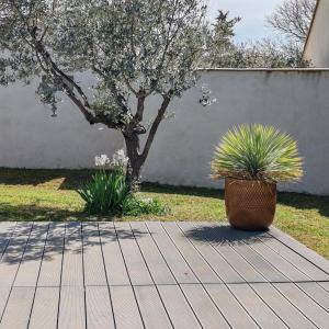 Maisons de vacances la maison de celine : photos des chambres