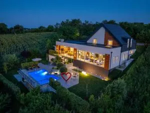 Riverside pool villa-Sremski Karlovci - 沙巴茨