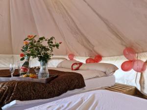 Glamping Montanejos