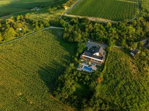 Riverside pool villa-Sremski Karlovci