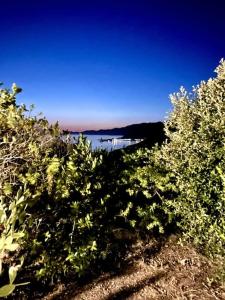 Villa vista mare a Bosa img51