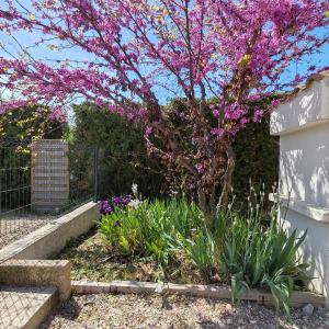 Maisons de vacances la maison de celine : photos des chambres