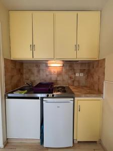 Appartements StudiosMichel apt 14 terrasse thermes 400m a pied : photos des chambres