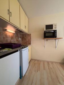 Appartements StudiosMichel apt 14 terrasse thermes 400m a pied : Appartement 1 Chambre