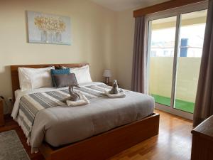 Mountain and Ocean View