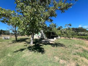 Charmant Provençal Cabanon à Montfort-sur-Argens