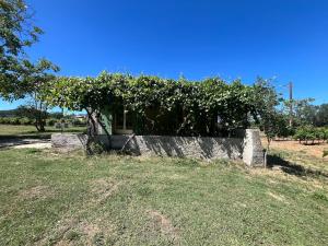 Maisons de vacances Charmant Provencal Cabanon a Montfort-sur-Argens : photos des chambres