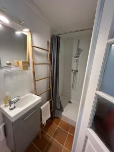 Maisons de vacances Charmant Provencal Cabanon a Montfort-sur-Argens : photos des chambres
