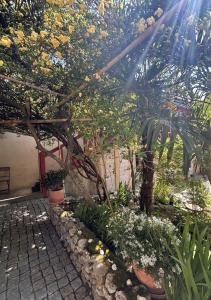 Maisons d'hotes Le Patio Tursan : photos des chambres